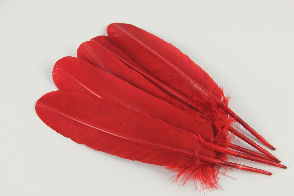Turkey Quill Feather Pens - Deluxe finishes (Pack of 10)