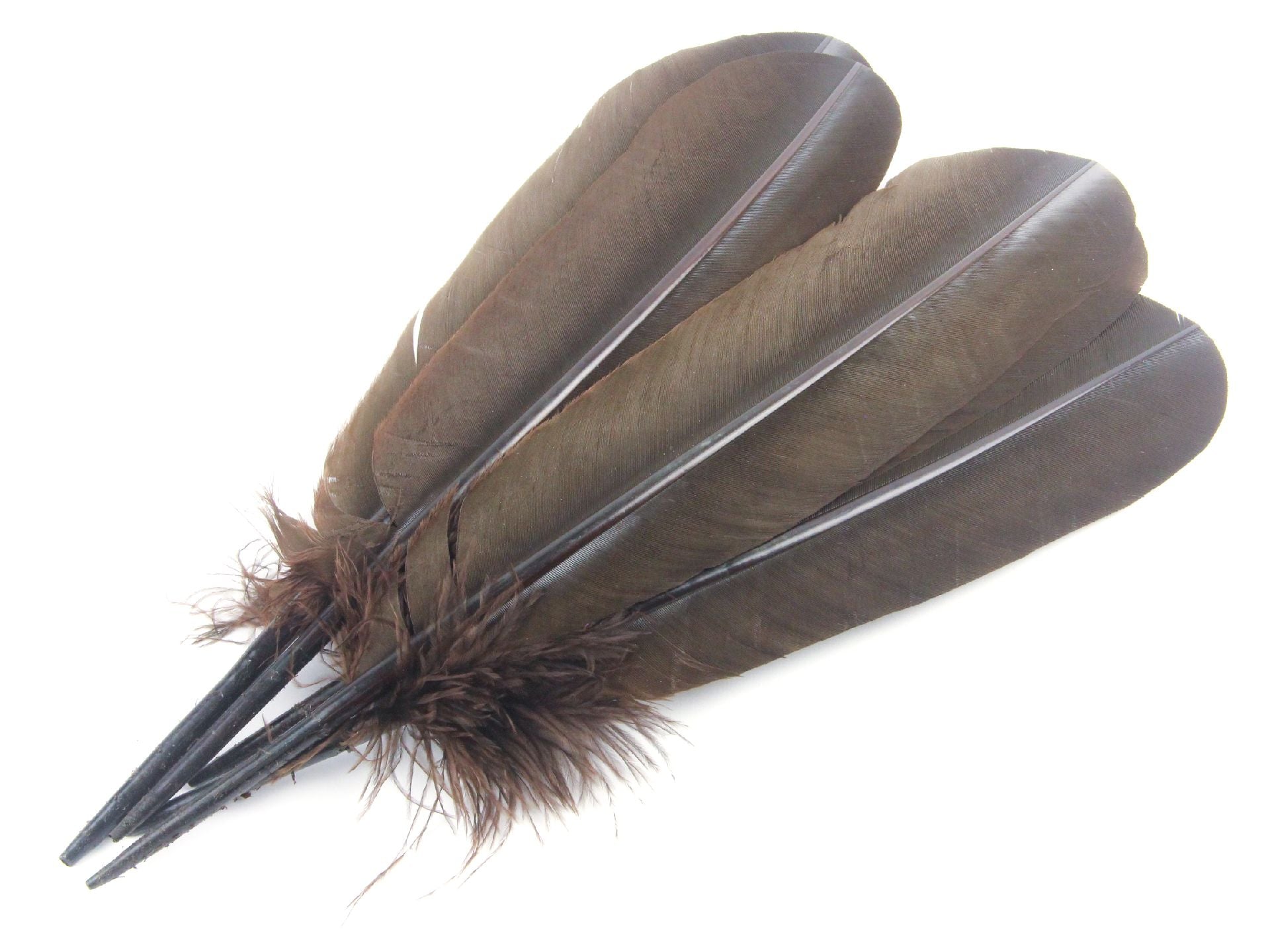 Authentic Turkey Quill Pen