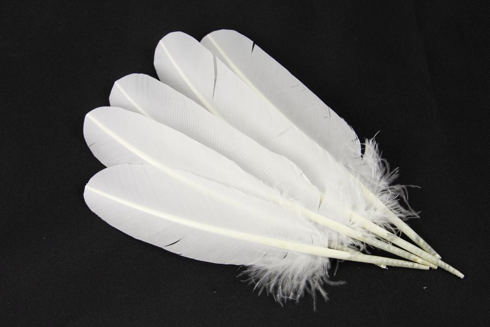 Turkey Quill Feather Pens - Deluxe finishes (Pack of 10)