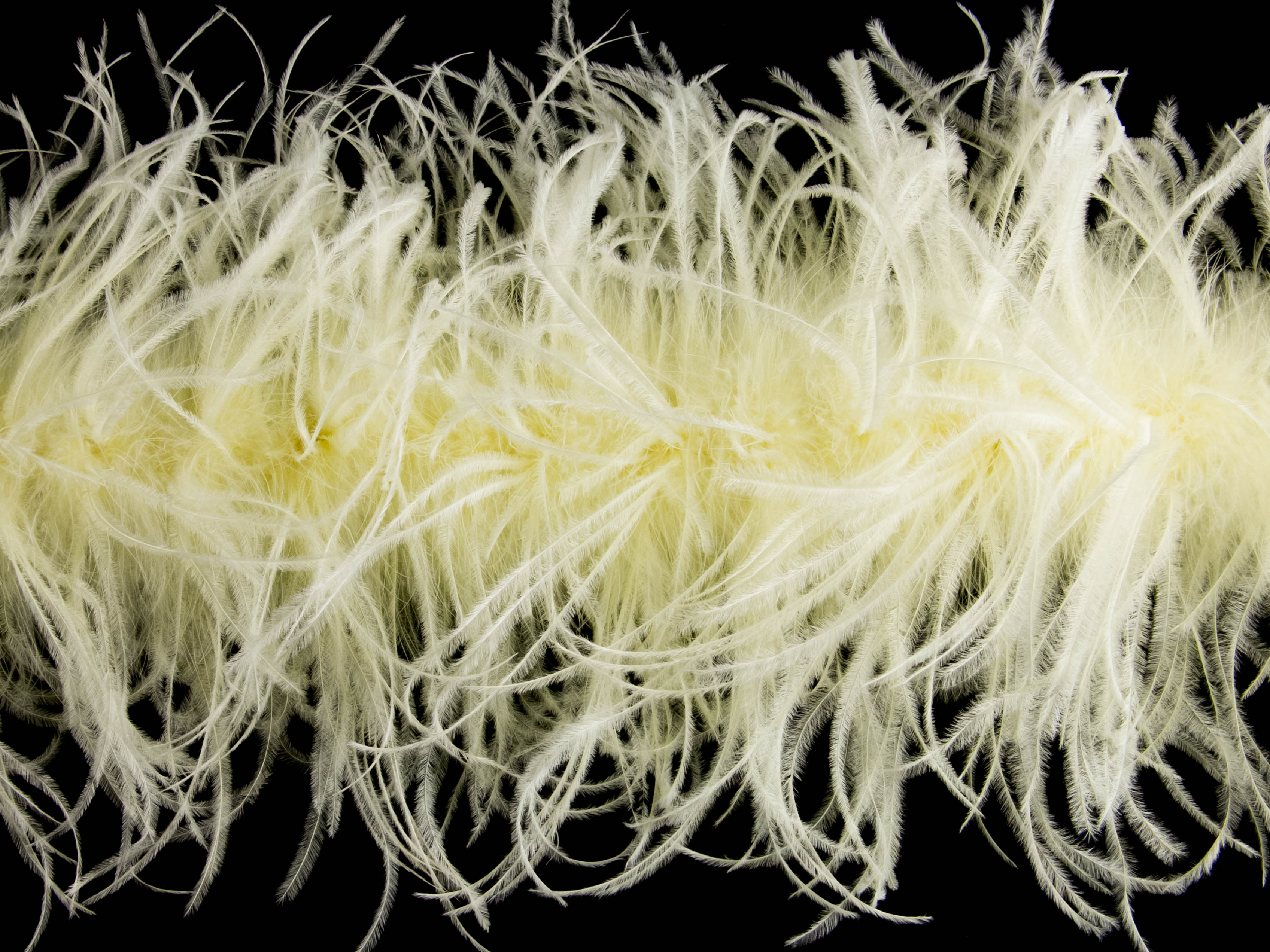 15 Ply Ostrich Feather boa - Dancewear Colours