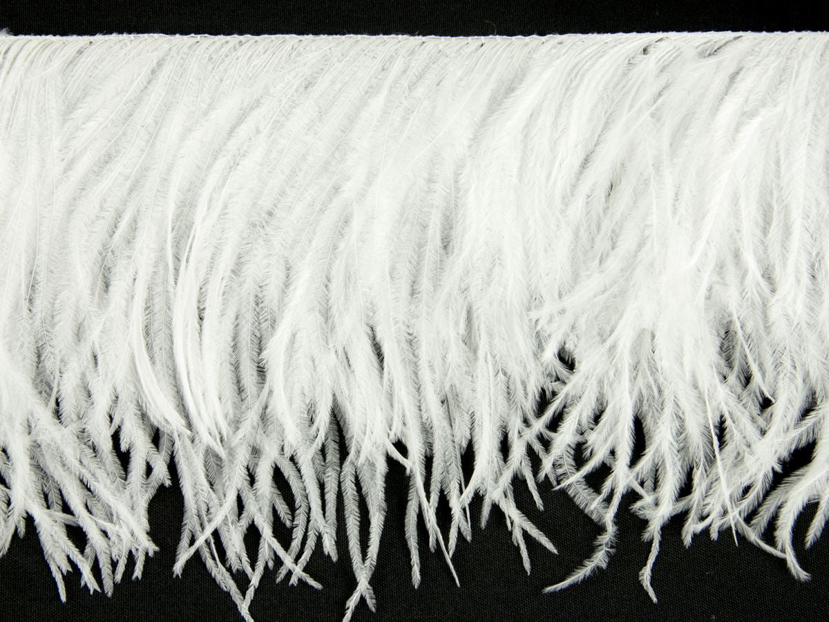 2 Ply Ostrich Feather Fringe (10cm depth) - Dancewear Colours