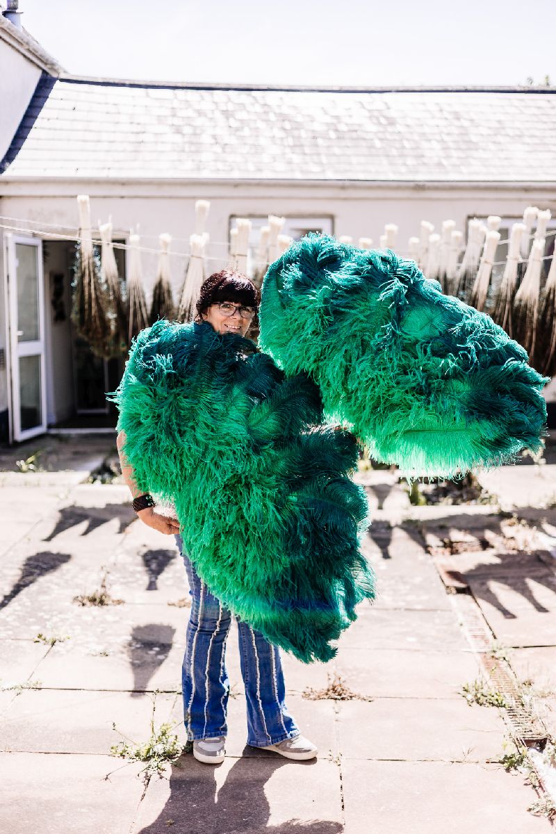Ombre Dyed Ostrich Feathers
