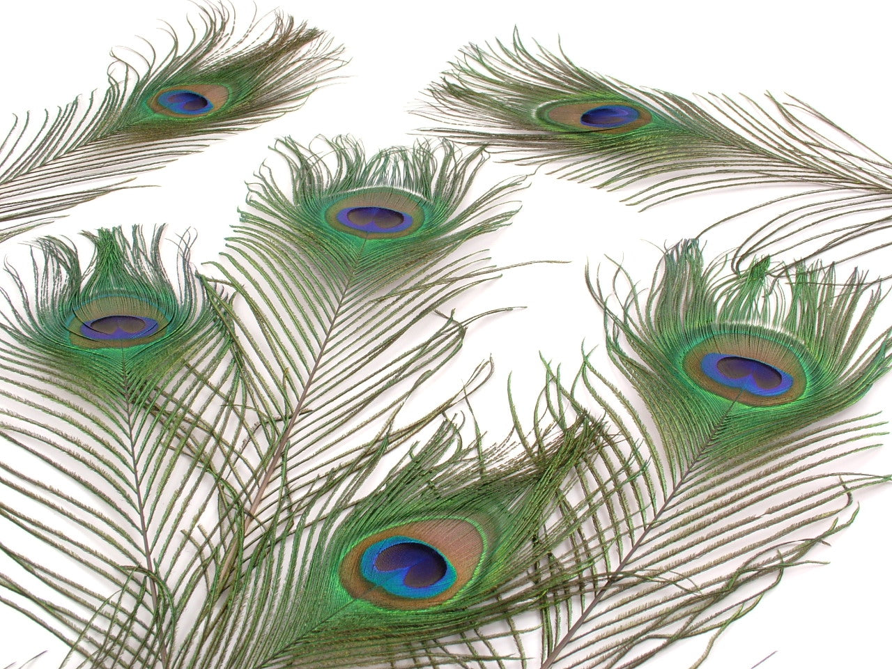 Feathers