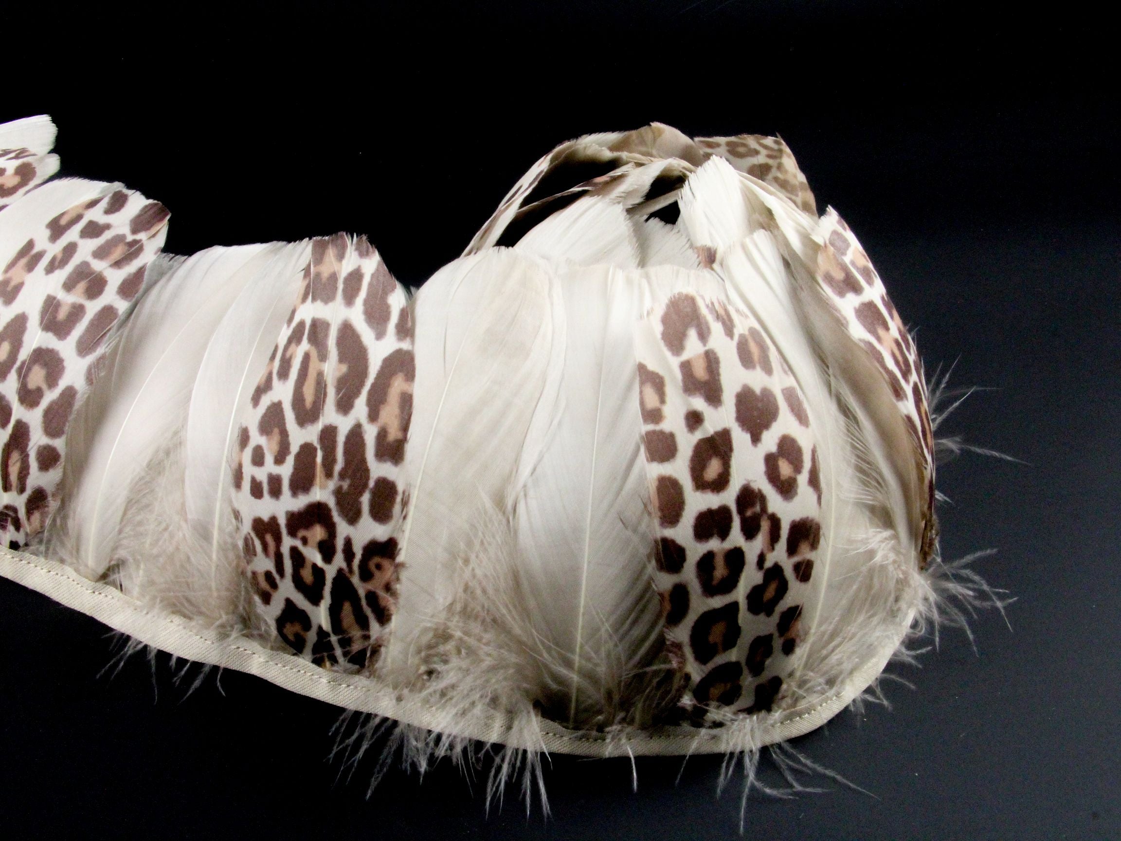 Print Design Feathers
