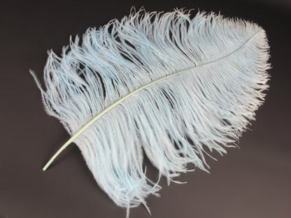 Ostrich Extra Long Premium Wing Feather (65-75cm) Pale Turquoise