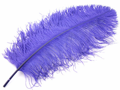 Ostrich Premium Wing Feather