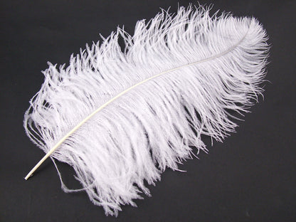 Ostrich Prime Wing Feather