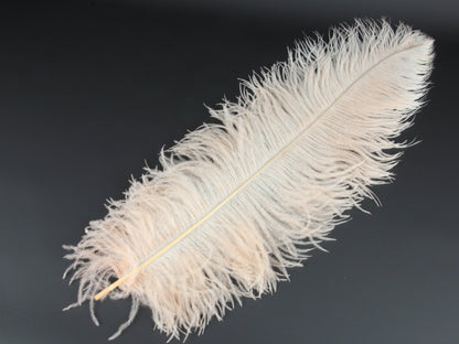 Ostrich Premium Wing Feather Short (40-50cm) Peach