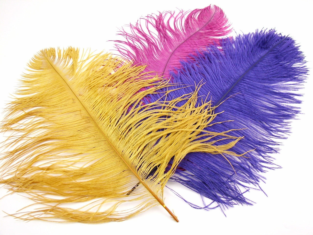 Ostrich Premium Wing Feather Short