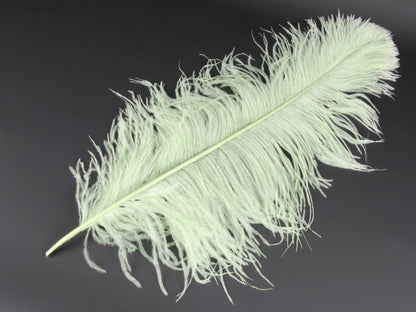 Ostrich Premium Wing Feather Short (40-50cm) Nil Green