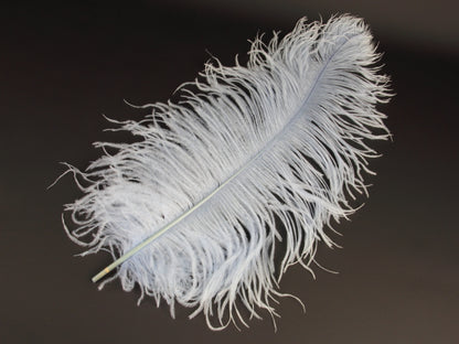 Ostrich Premium Wing Feather Short (40-50cm) Ice Blue