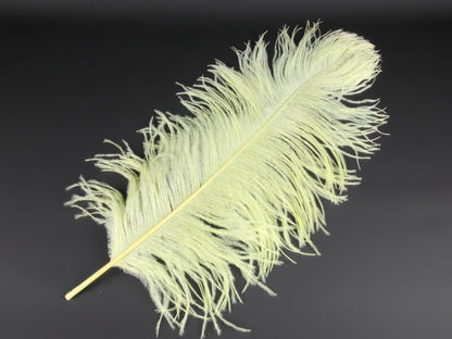 Ostrich Premium Wing Feather Short (40-50cm) Lemon