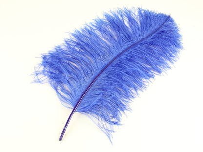 Ostrich Premium Wing Feather Short (40-50cm) Royal Blue