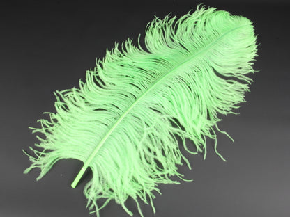 Ostrich Premium Wing Feather Short (40-50cm) Lime