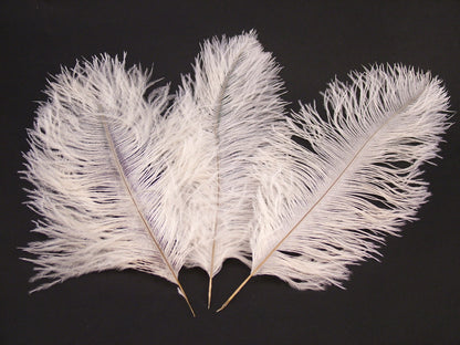 Ostrich Mini Prime Feather