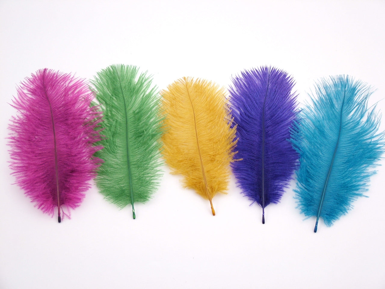 Ostrich Body Feather