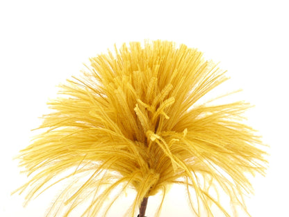 Ostrich Pom