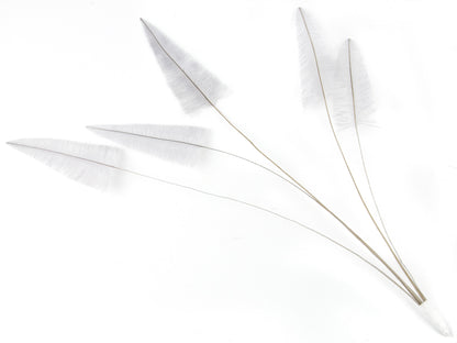 Stripped Ostrich Spray Silver Grey