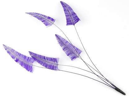 Stripped Ostrich Spray Purple