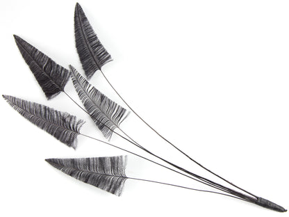 Stripped Ostrich Spray Black