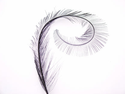 Cut Burnt Curled Spadone Feather