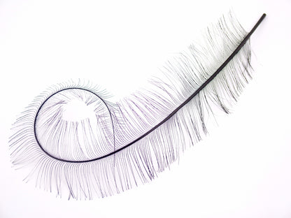 Cut Burnt Curled Spadone Feather