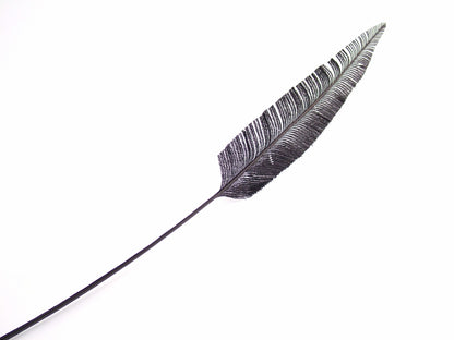 Clipped Ostrich Arrowhead