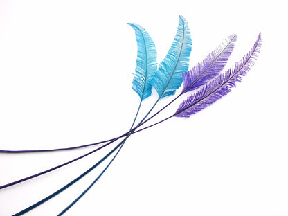Ostrich Arrowhead Feather