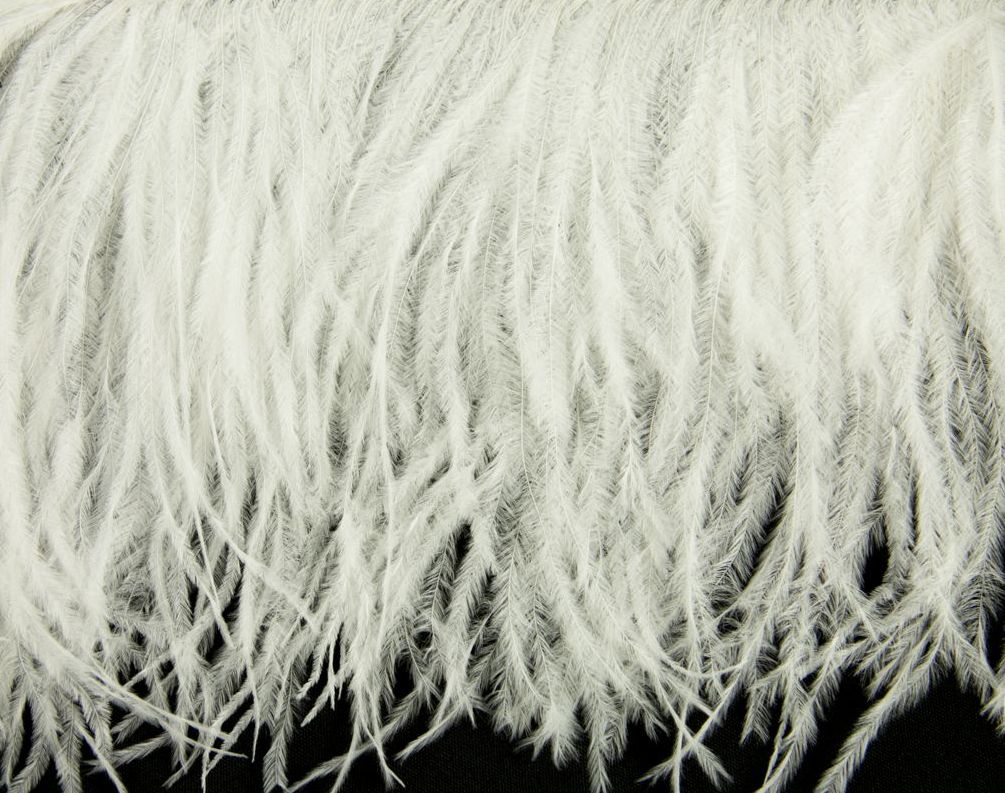 Ostrich Fringe 13-15cm depth per metre - 2 ply Ivory