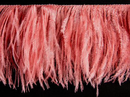 ostfr2 coral almond