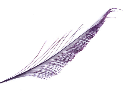 Peacock Sword Feather Dyed 25-30cm, Purple