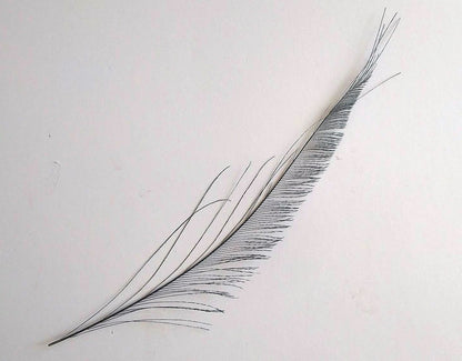 Peacock Sword Feather Dyed 25-30cm, Bottle Green