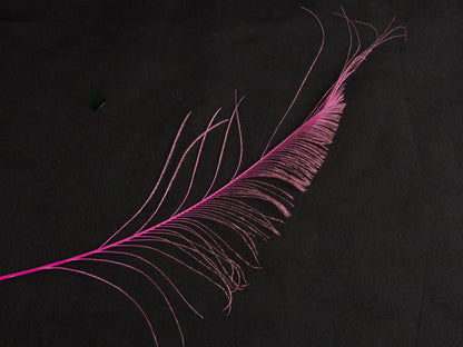 Peacock Sword Feather Dyed 25-30cm, Shocking Pink