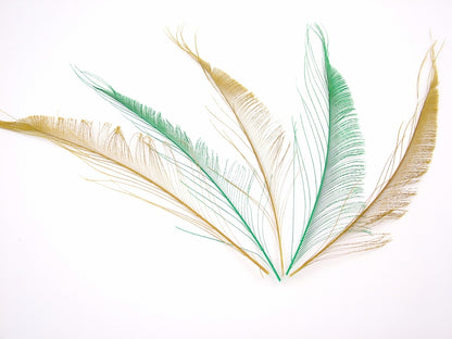 Peacock Sword Feather Dyed
