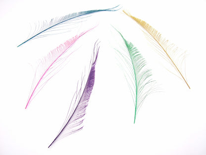 Peacock Sword Feather Dyed