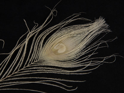 Peacock Eye Feather Dyed (25-30cm) 25-30cm, Bleached