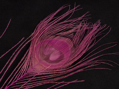 Peacock Eye Feather Dyed (25-30cm) 25-30cm, Shocking Pink