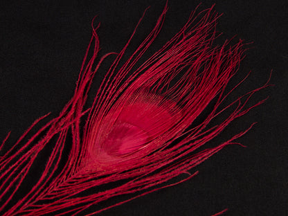 Peacock Eye Feather Dyed (25-30cm) 25-30cm, Red
