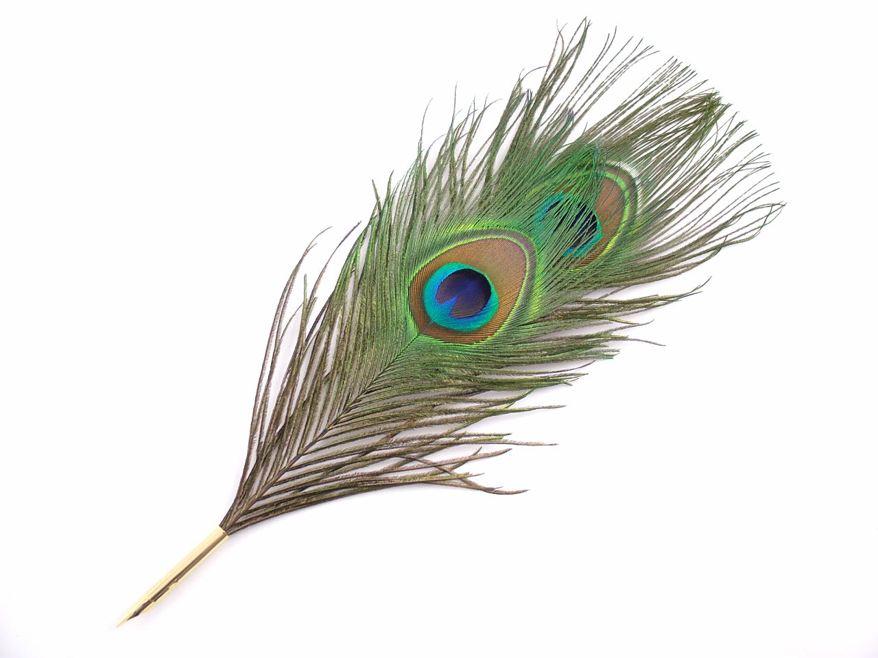 Peacock Tail Feather Nib Pen