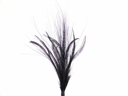 Imitation Bird of Paradise Hat Mount