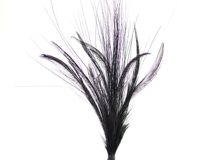 Imitation Bird of Paradise Hat Mount