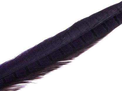 Ringneck Pheasant Side Tail Feather Dyed (25-35cm) 25-35cm, Dark Purple