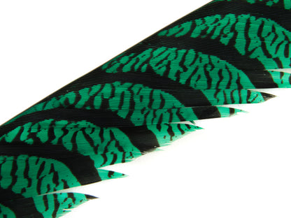 Lady Amherst Pheasant Centre Tail Feather Dyed 85-100cm, Emerald