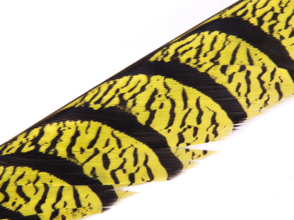 Lady Amherst Pheasant Centre Tail Feather Dyed 85-100cm, Yellow