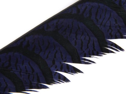 Lady Amherst Pheasant Centre Tail Feather Dyed 85-100cm, Navy