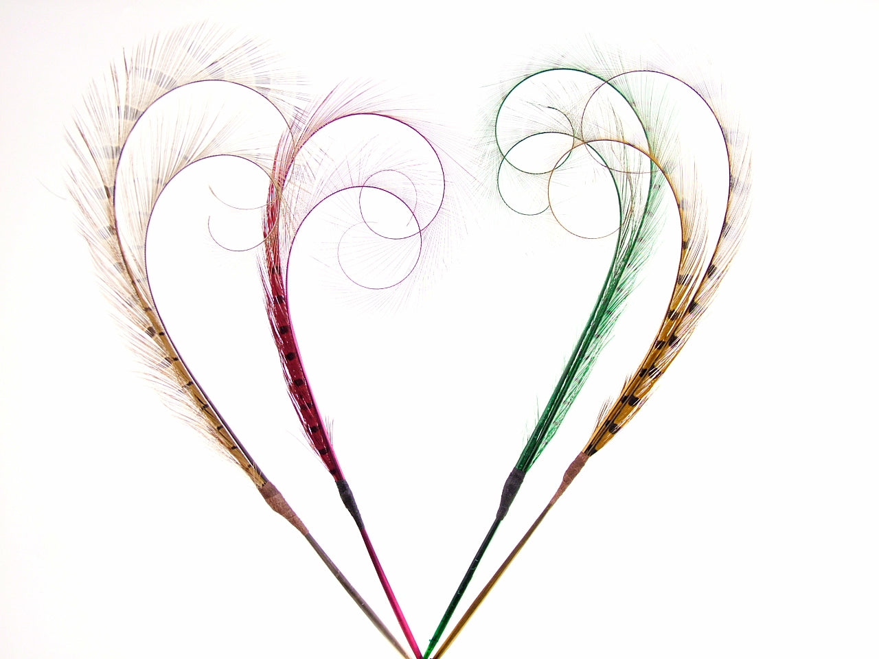 Burnt Curled Double Ringneck Pheasant Feather