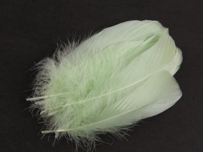 Goose Nagoire Feathers (12-18cm) Eau de Nil