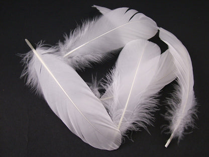 Goose Nagoire Feathers Bulk