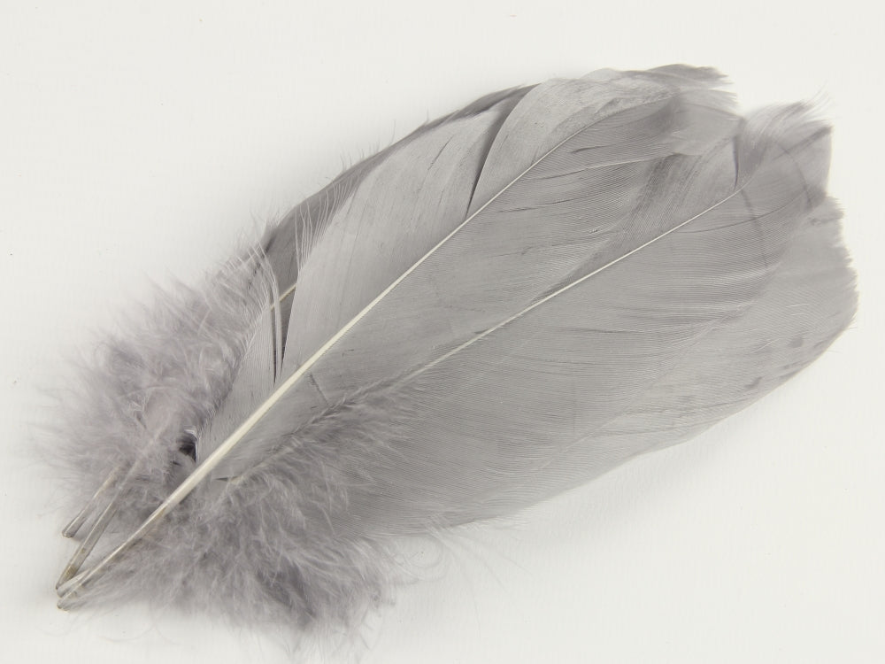 Goose Nagoire Feathers (12-18cm) Silver Grey