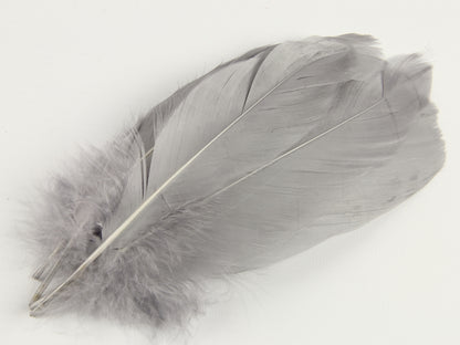 Goose Nagoire Feathers (12-18cm) Silver Grey